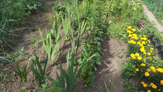 Клумбы для цветов смотреть онлайн