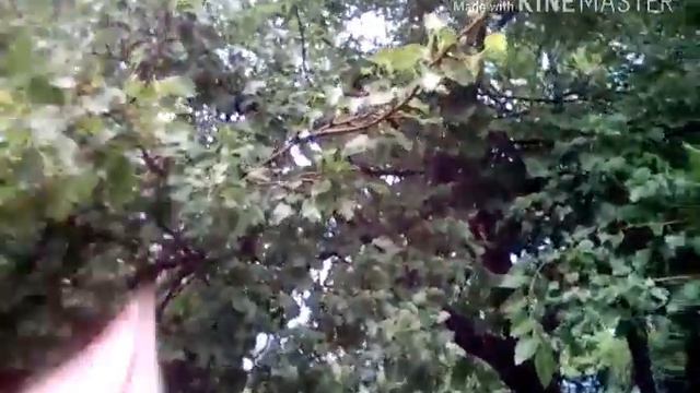 Шок!Влог идём в библиотеку. Библиотека закрыта ? Страшные книги? смотреть онлайн