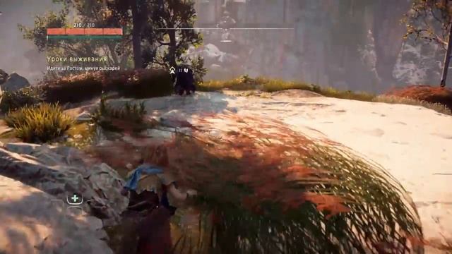 У нас отпала челюсть! Мы в шоке! Horizon Zero Dawn -Прохождение, обзор, первый взгляд. смотреть онлайн