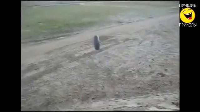 САМЫЕ ПРИКОЛЬНЫЕ ВИДЕО НОВЫЕ УБОЙНЫЕ РОЛИКИ РУНЕТА смотреть онлайн