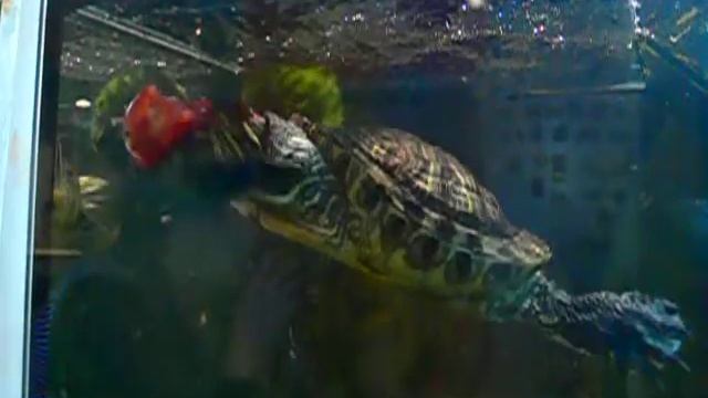 Кааак вкусненько!))))) смотреть онлайн