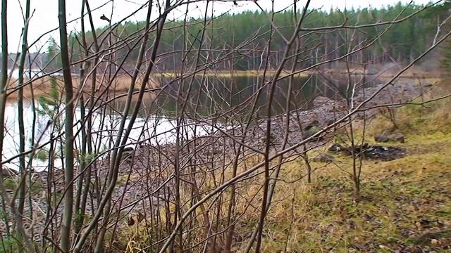 "Ноябрь" стихи Ольги Гладковой смотреть онлайн