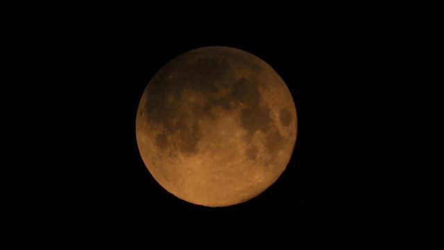 MVI 1159 смотреть онлайн