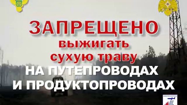 Берегите лес смотреть онлайн