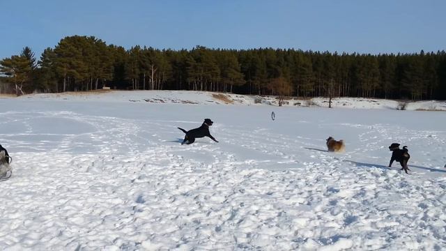 Кто быстрей? смотреть онлайн