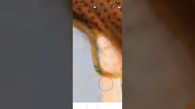 волосы+страшная история!история не моя! смотреть онлайн