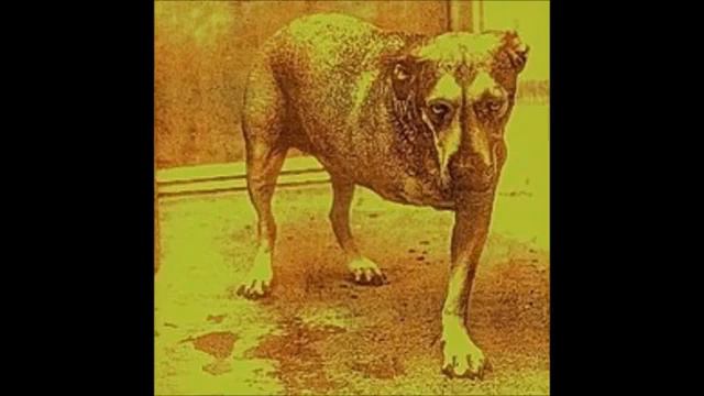 Alice In Chains - Alice In Chains (album)