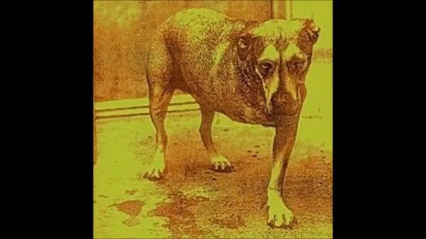 Alice In Chains - Alice in chains (album)
