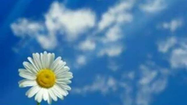 Немецкий язык. Урок 5. Числа. смотреть онлайн