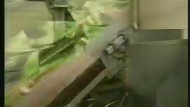 La Production de l'aloe Vera - Forever Living Products Maroc смотреть онлайн