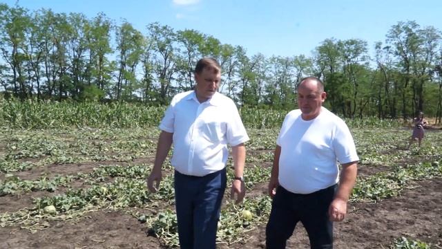 Глава рулит Выпуск #10 часть #4 Град в Кореновском районе наделал беды смотреть онлайн