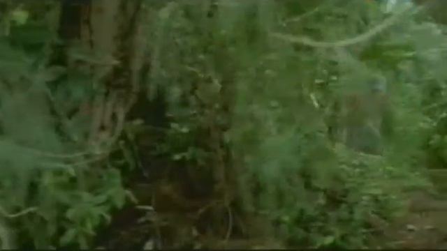 Худ. фильм, экшн, Последний полёт