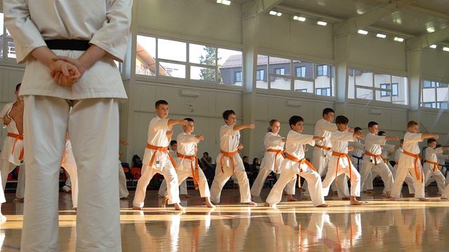 Сборы карате МОКК смотреть онлайн