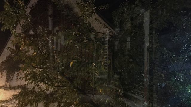 Ночной Люксембург. Luxemburg смотреть онлайн