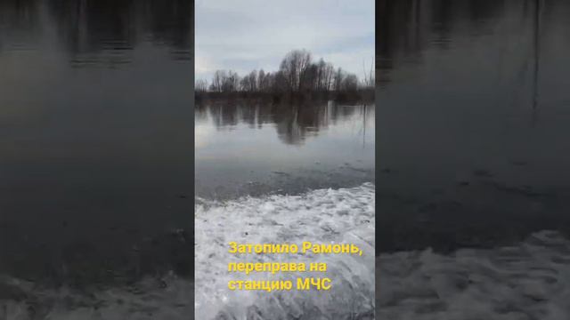 Разлив реки Воронеж #врн #воронеж #воронеж36 #воронежской #рамонь смотреть онлайн
