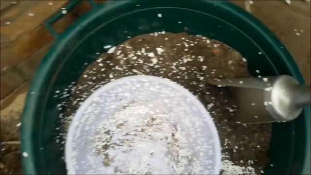 Капуста в ведрах.Выращивание капусты. смотреть онлайн