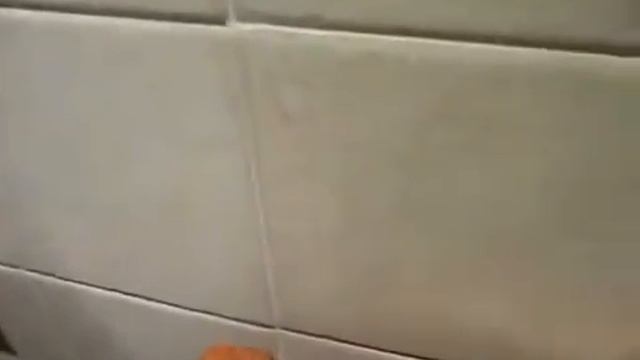 Прибор EcoFood удаление грибка 1 смотреть онлайн