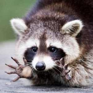 2016 0101 021101 002.mp4