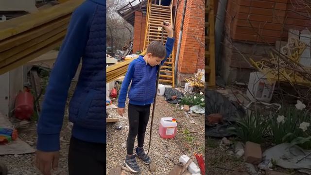 Желтобрюхий полоз Краснодар