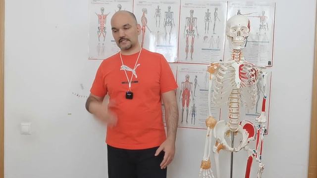 Как организовать групповые оздоровительные тренировки? Часть 2 смотреть онлайн