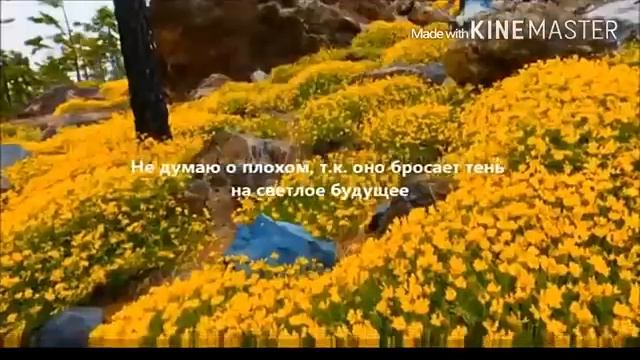 Не забывайте вы родных. смотреть онлайн