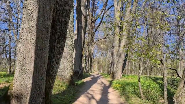 Парк Петровское смотреть онлайн