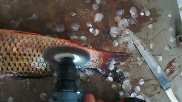 Чистка рыбы шуруповертом с металлической щёткой)) смотреть онлайн