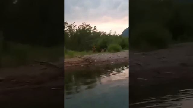 МИШКИНА РЕЧКА смотреть онлайн