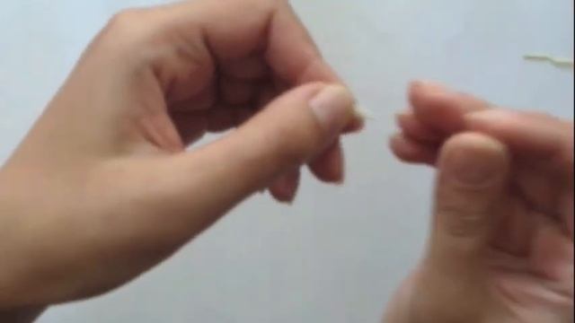 Орнитогаллум из фоамирана - домашнее задание 1, 2 смотреть онлайн