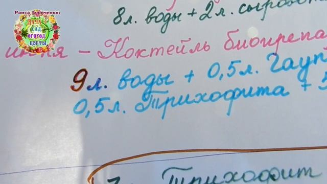 Мультифлора. Хризантемы: защита от болезней и вредителей в течение всего сезона. смотреть онлайн