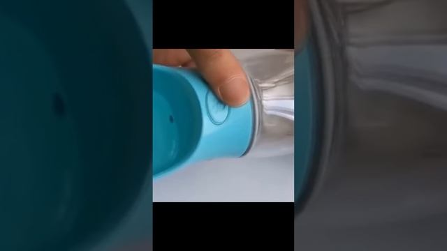 Для любимого ПИТОМЦА Aliexpress #aliexpress #самоеинтересное