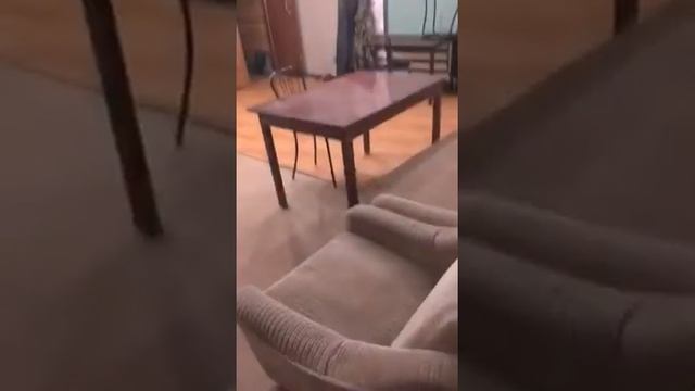 Сузун д. Малышево База «Чайка» смотреть онлайн