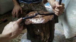 Ремонт Hatsan 125