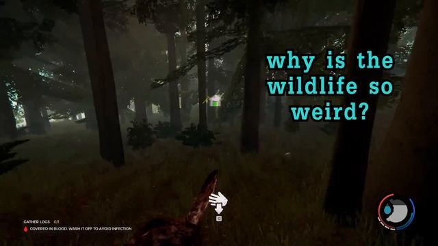 What's so strange about The Forest? (2014) смотреть онлайн