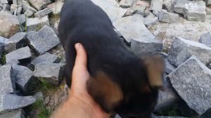 Обзор нашей стройки. Продолжаем бутовый фундамент. Закрыли в земле. Начинаем цоколь из бута