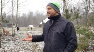 Самое выгодное животное . Кого выгодно разводить? Итог первого года содержания свиней , овец и коз