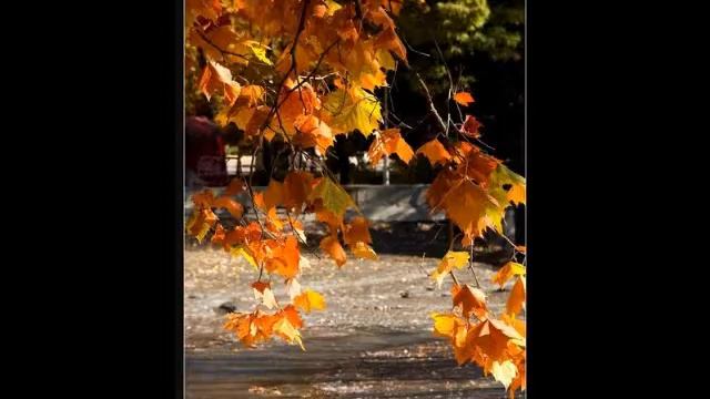 Лариса, с днем рождения..wmv смотреть онлайн