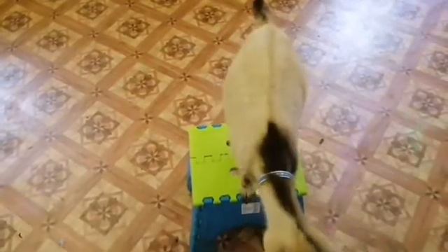 Панчик🙂🙃 смотреть онлайн