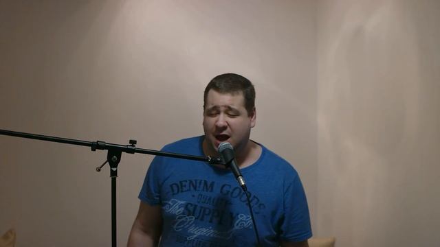 Vlad Moigradeanu - Blue Suede Shoes (Cover) смотреть онлайн