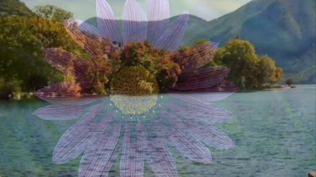 Цвет глаз рая - The Seres смотреть онлайн
