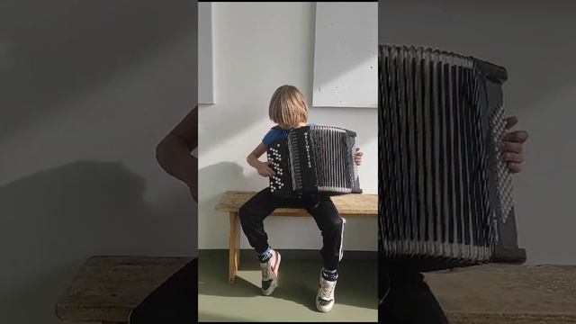 Обучение игре на баяне - онлайн. Ю. Гаврилов "Колобок". Исполняет Тимофей Ковалёв. смотреть онлайн