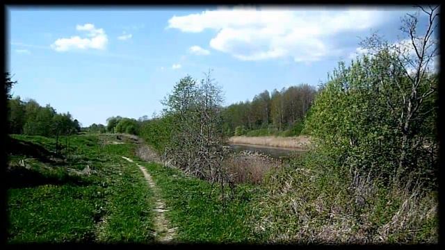 Гомосек. смотреть онлайн