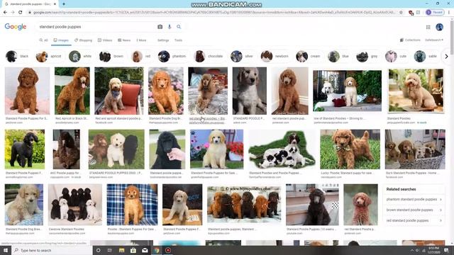 How to set an image as your wallpaper on MSI laptop смотреть онлайн