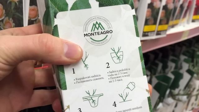 Сербские розы. Розы Алтая. Розы MONTEAGRO. Лилии. Плодовые деревья и многое другое. Магазин ХОМЯК. смотреть онлайн