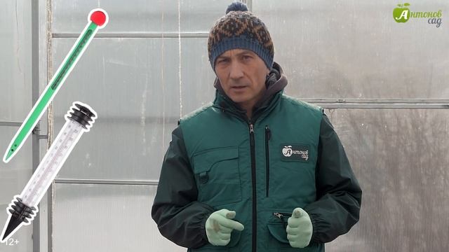 Сроки посадки рассады в грунт. Когда сажать в теплицу и открытый грунт смотреть онлайн