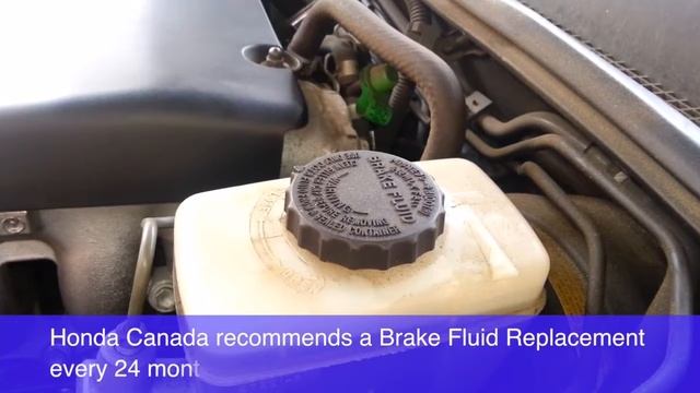 Brake Fluid Palladino Honda смотреть онлайн