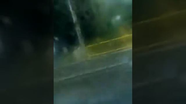 De la TREI BRAZI la BUCURESTI (nr inmatriculare B ??? FBT) смотреть онлайн