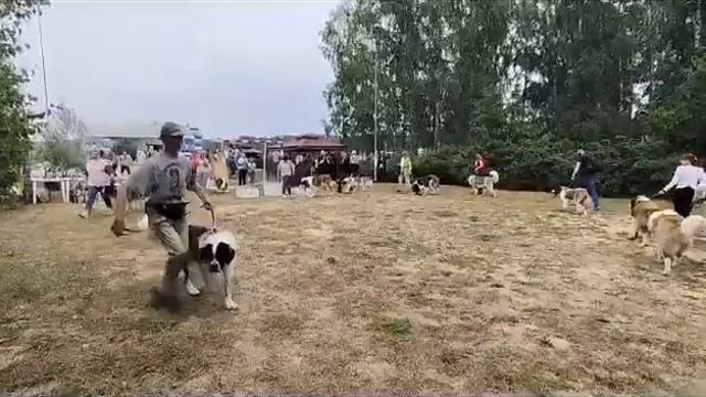 16.07.23 Челябинск моно МС смотреть онлайн