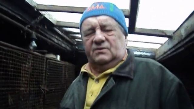 ещё раз о крупных нутриях (2 часть) смотреть онлайн