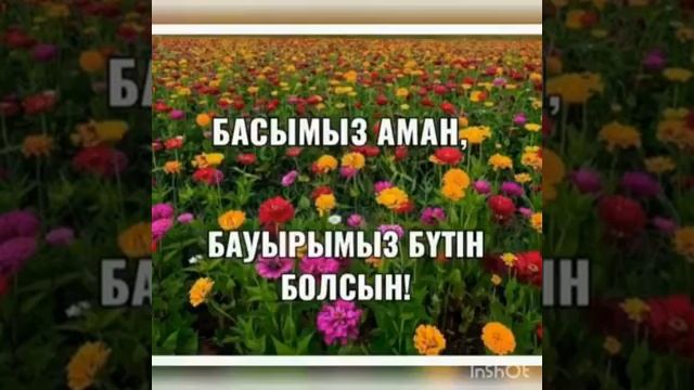 Жақсы тілек смотреть онлайн